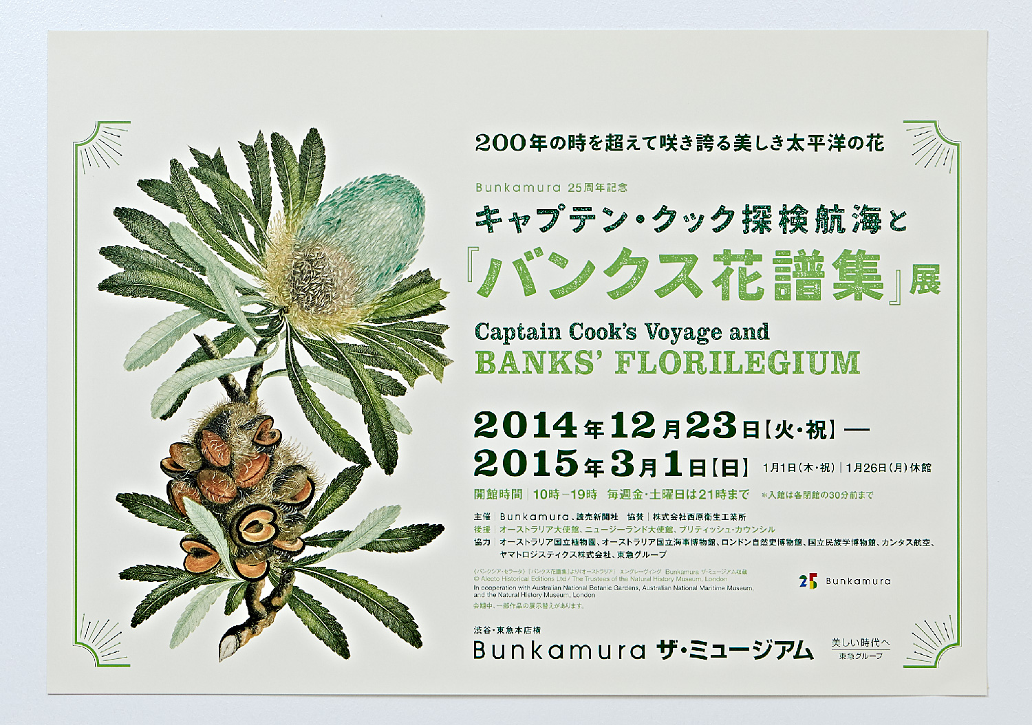 『バンクス花譜集』展｜Bunkamura ザ・ミュージアム_5