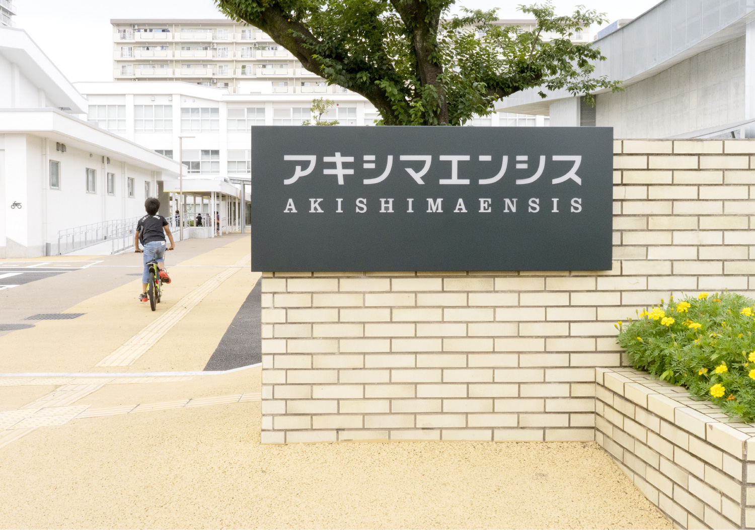 アキシマエンシス（昭島市民図書館）_23