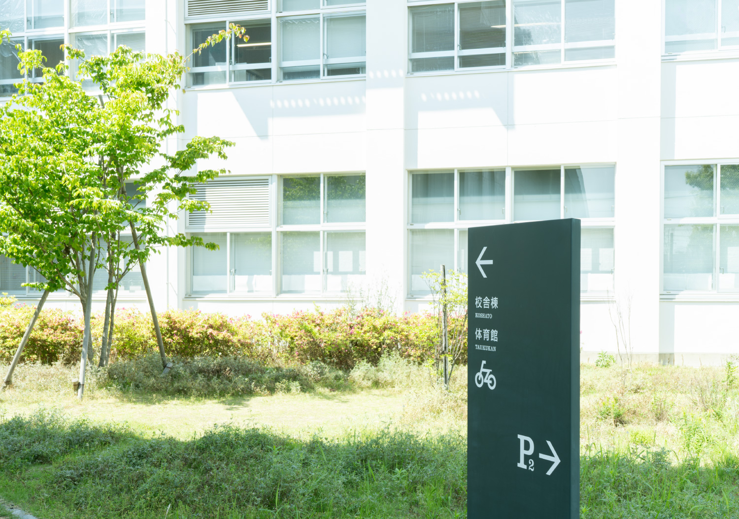 アキシマエンシス（昭島市民図書館）_26