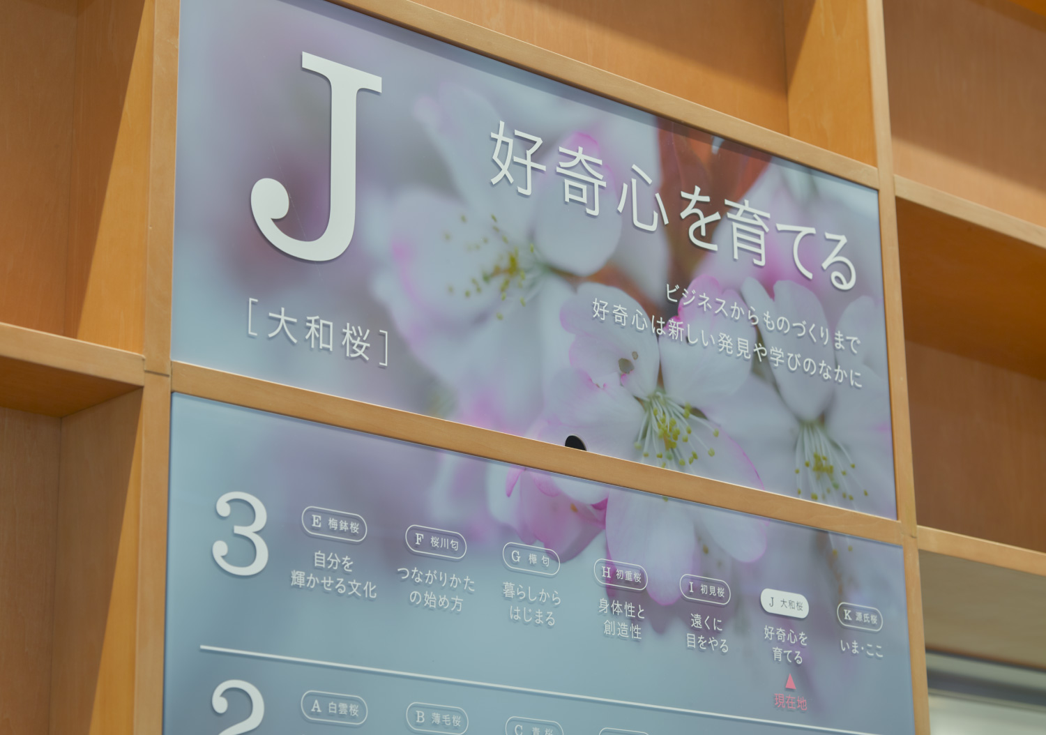 さくらす 桜川市生涯学習センター（桜川市立図書館）_25